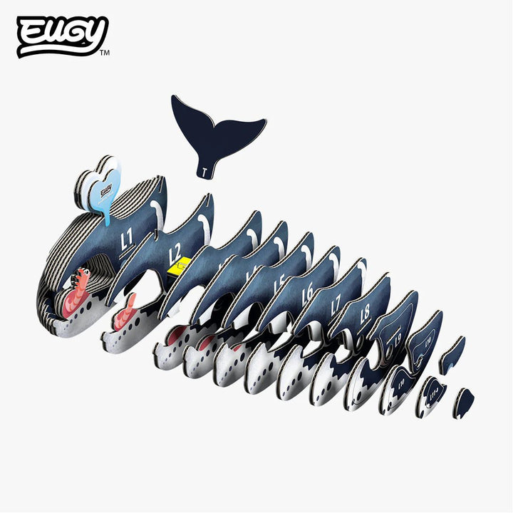 Eugy | 3D Cardboard Model Kit | Sea Life | Groenlandse Walvis | 34 stukjes | 6+ - Kleine Eland