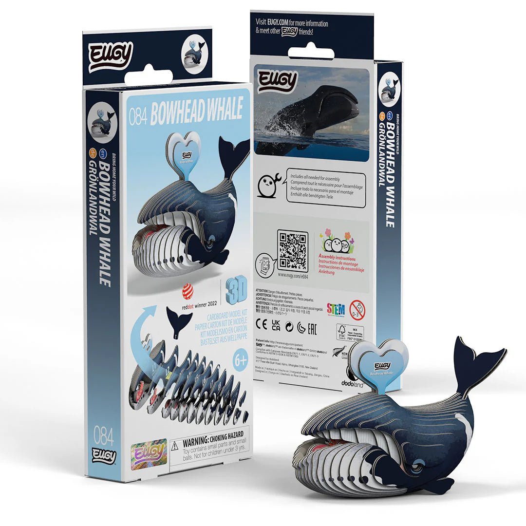 Eugy | 3D Cardboard Model Kit | Sea Life | Groenlandse Walvis | 34 stukjes | 6+ - Kleine Eland
