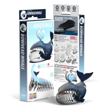 Eugy | 3D Cardboard Model Kit | Sea Life | Groenlandse Walvis | 6+ - Kleine Eland