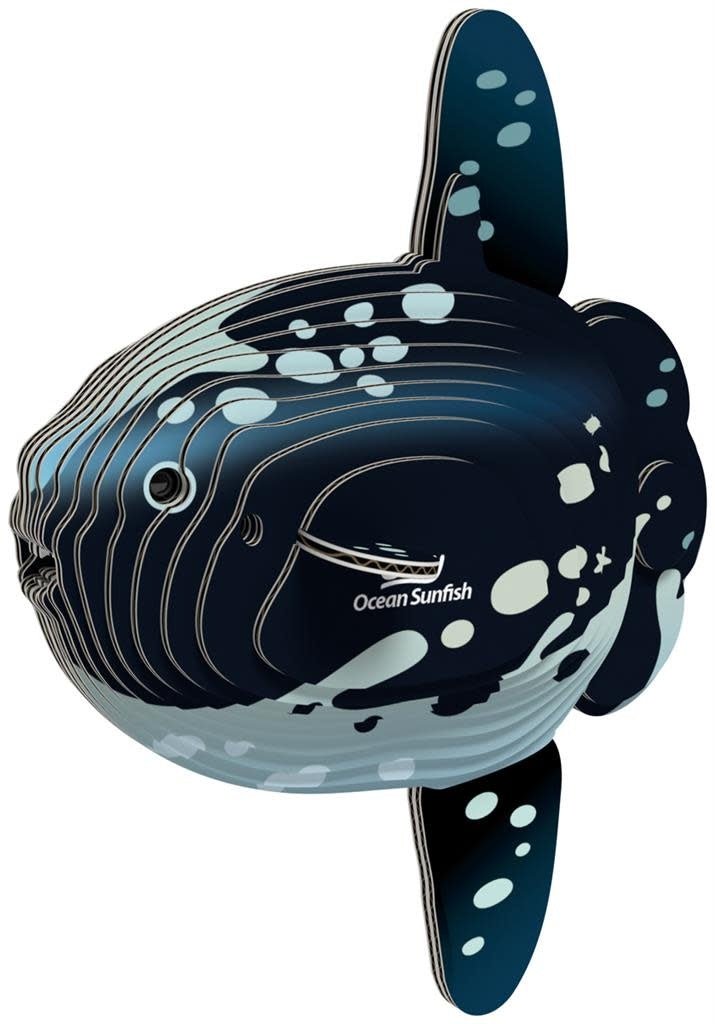 Eugy | 3D Cardboard Model Kit | Sea Life | Mola Mola | Ocean Sunfish - Maanvis | 6+ - Kleine Eland