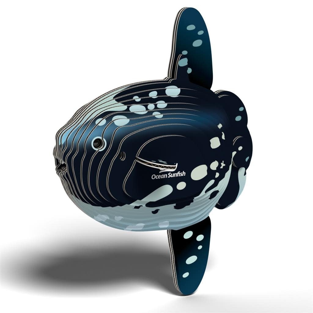 Eugy | 3D Cardboard Model Kit | Sea Life | Mola Mola | Ocean Sunfish - Maanvis | 6+ - Kleine Eland