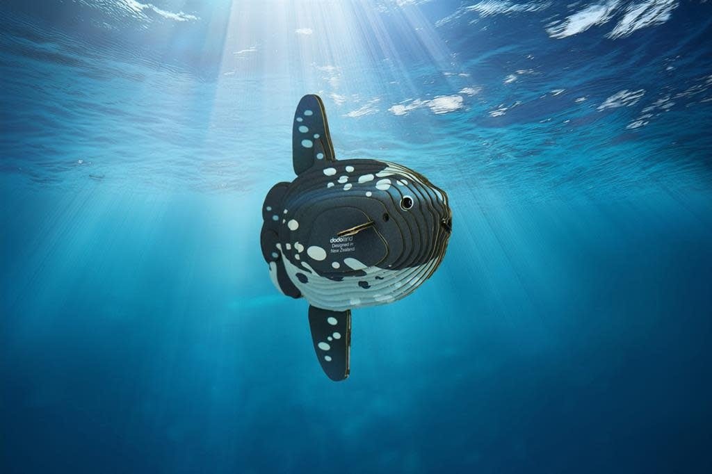 Eugy | 3D Cardboard Model Kit | Sea Life | Mola Mola | Ocean Sunfish - Maanvis | 6+ - Kleine Eland