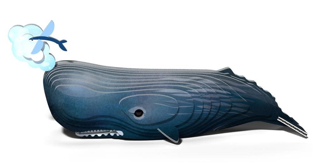 Eugy | 3D Cardboard Model Kit | Sea Life | Potvis | 6+ - Kleine Eland