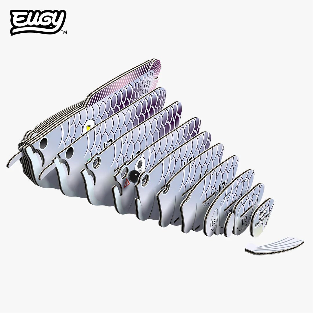 Eugy | 3D Cardboard Model Kit | Sea Life | Silver Arowana | 29 stukjes | 6+ - Kleine Eland