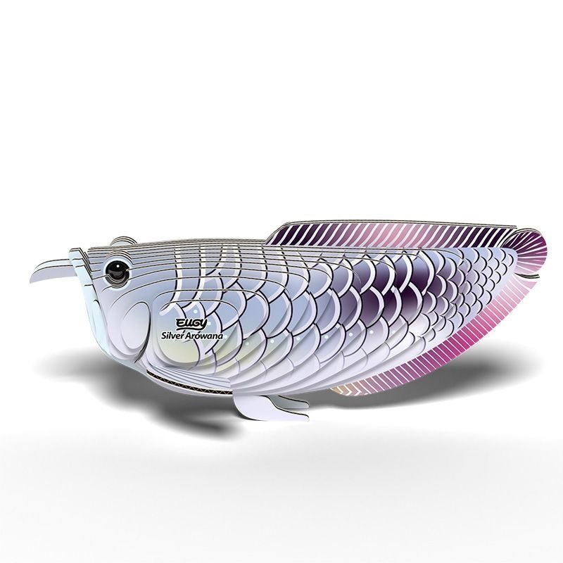 Eugy | 3D Cardboard Model Kit | Sea Life | Silver Arowana | 6+ - Kleine Eland