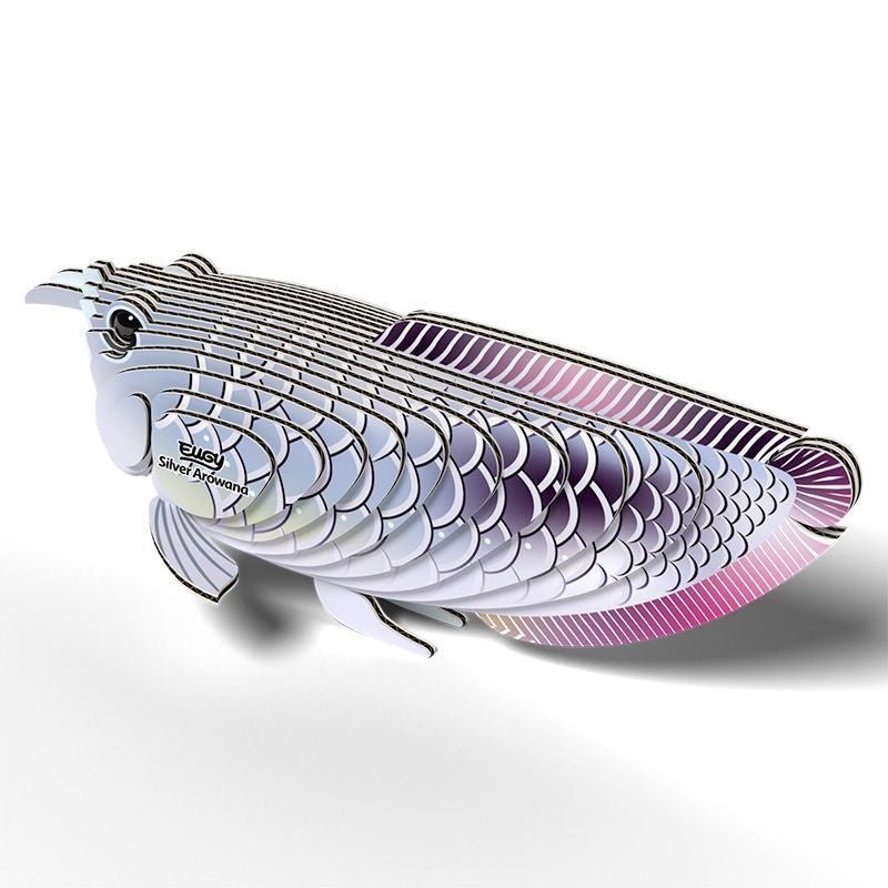 Eugy | 3D Cardboard Model Kit | Sea Life | Silver Arowana | 6+ - Kleine Eland