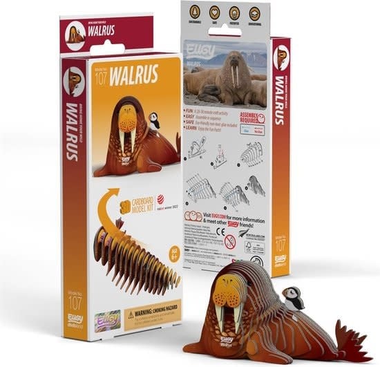 Eugy | 3D Cardboard Model Kit | Sea Life | Walrus | 6+ - Kleine Eland