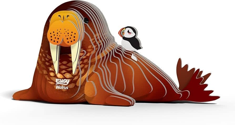 Eugy | 3D Cardboard Model Kit | Sea Life | Walrus | 6+ - Kleine Eland