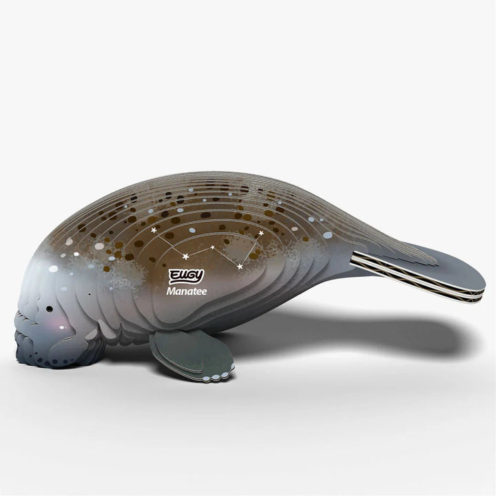 Eugy | 3D Cardboard Model Kit | Sea Life | Zeekoe | 31 stukjes | 6+ - Kleine Eland