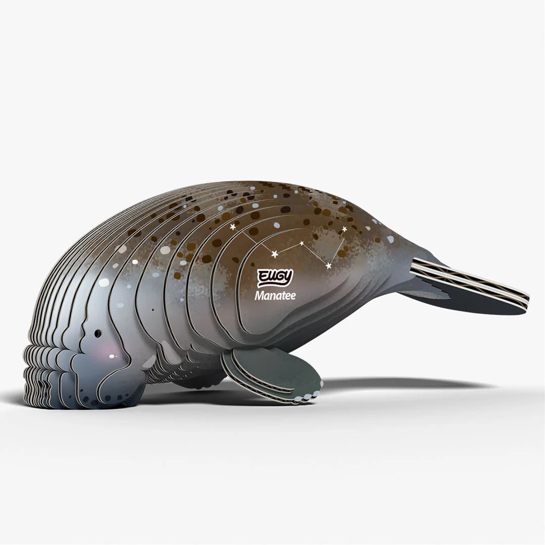 Eugy | 3D Cardboard Model Kit | Sea Life | Zeekoe | 31 stukjes | 6+ - Kleine Eland