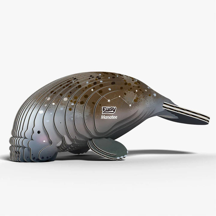 Eugy | 3D Cardboard Model Kit | Sea Life | Zeekoe | 31 stukjes | 6+ - Kleine Eland