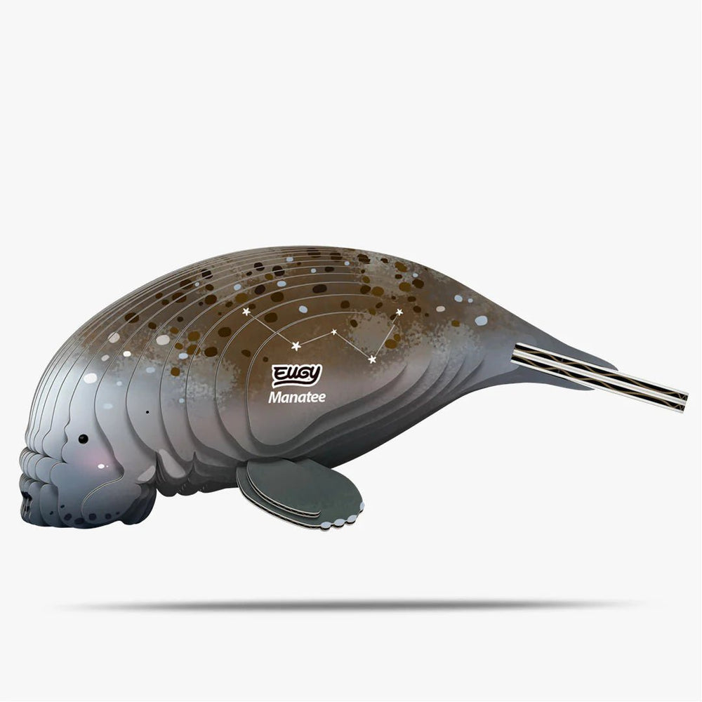 Eugy | 3D Cardboard Model Kit | Sea Life | Zeekoe | 31 stukjes | 6+ - Kleine Eland
