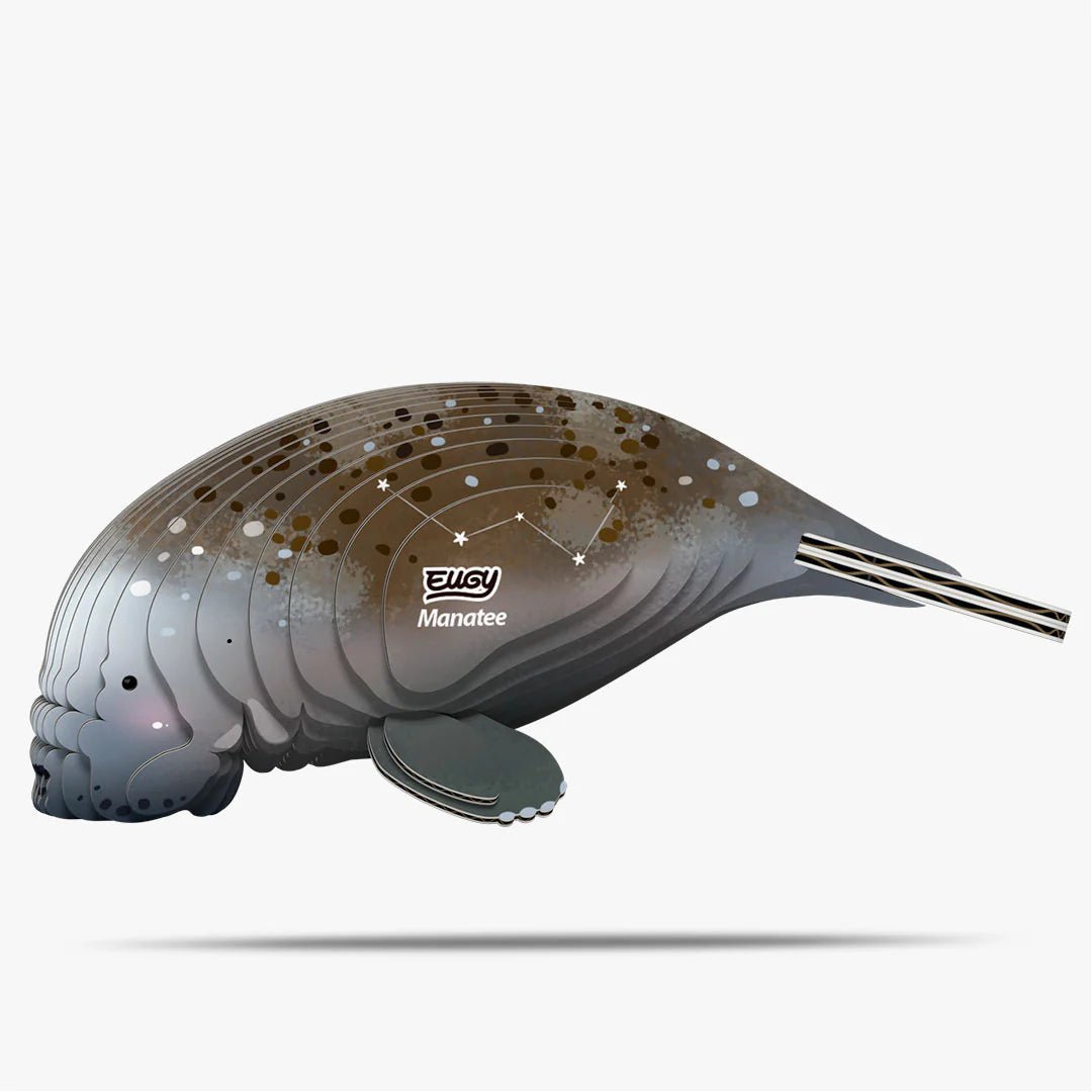Eugy | 3D Cardboard Model Kit | Sea Life | Zeekoe | 31 stukjes | 6+ - Kleine Eland