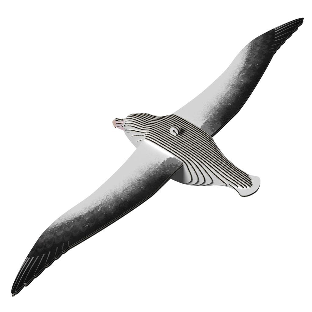Eugy | 3D Cardboard Model Kit | Vogel | Konings Albatros | 6+ - Kleine Eland