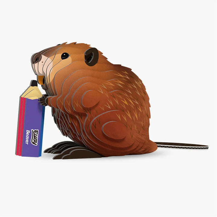 Eugy | 3D Cardboard Model Kit | Wild Life | Bever | 38 stukjes | 6+ - Kleine Eland