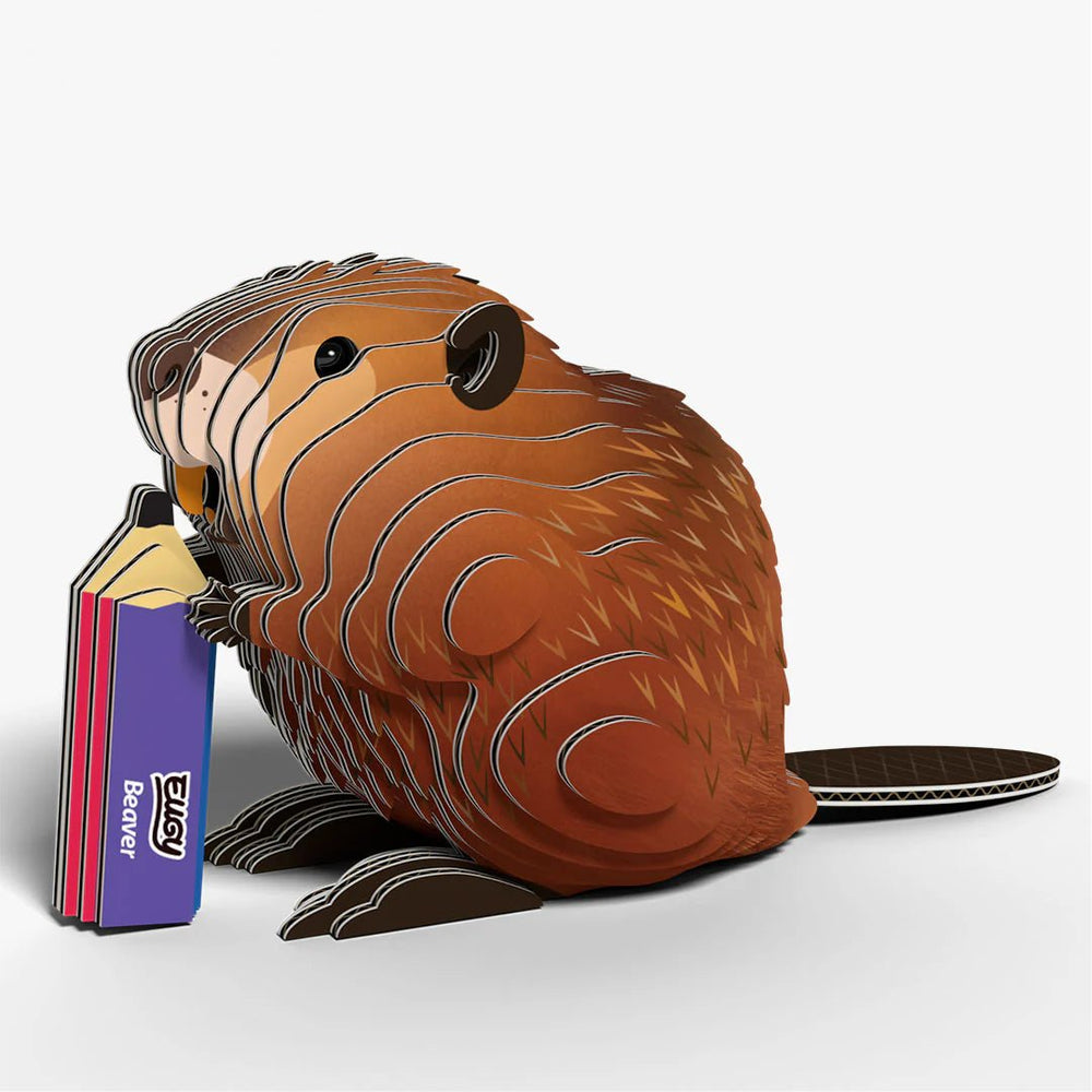 Eugy | 3D Cardboard Model Kit | Wild Life | Bever | 38 stukjes | 6+ - Kleine Eland