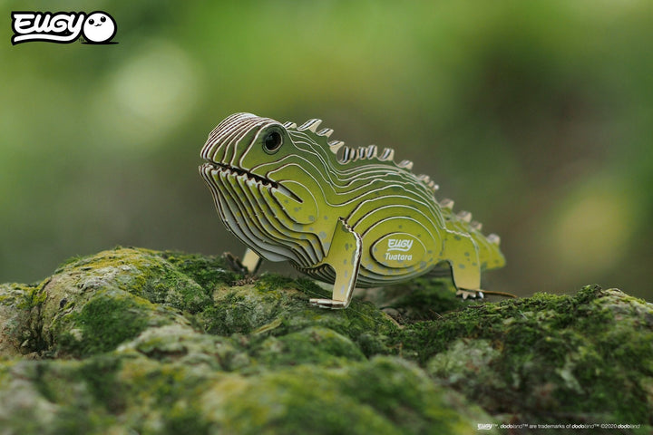 Eugy | 3D Cardboard Model Kit | Wild Life | Brughagedis | 6+ - Kleine Eland