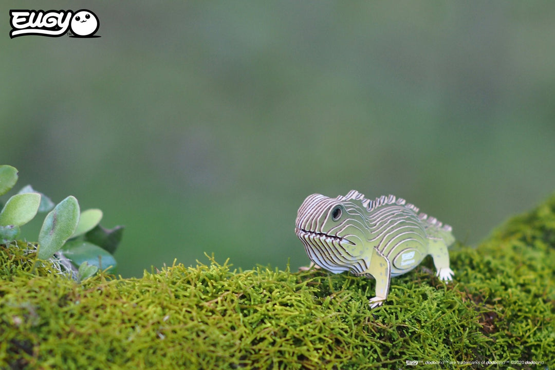 Eugy | 3D Cardboard Model Kit | Wild Life | Brughagedis | 6+ - Kleine Eland