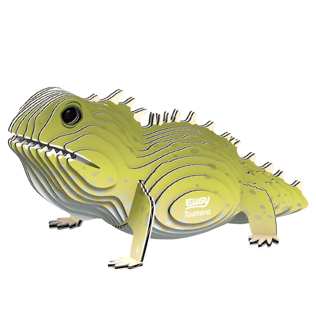 Eugy | 3D Cardboard Model Kit | Wild Life | Brughagedis | 6+ - Kleine Eland