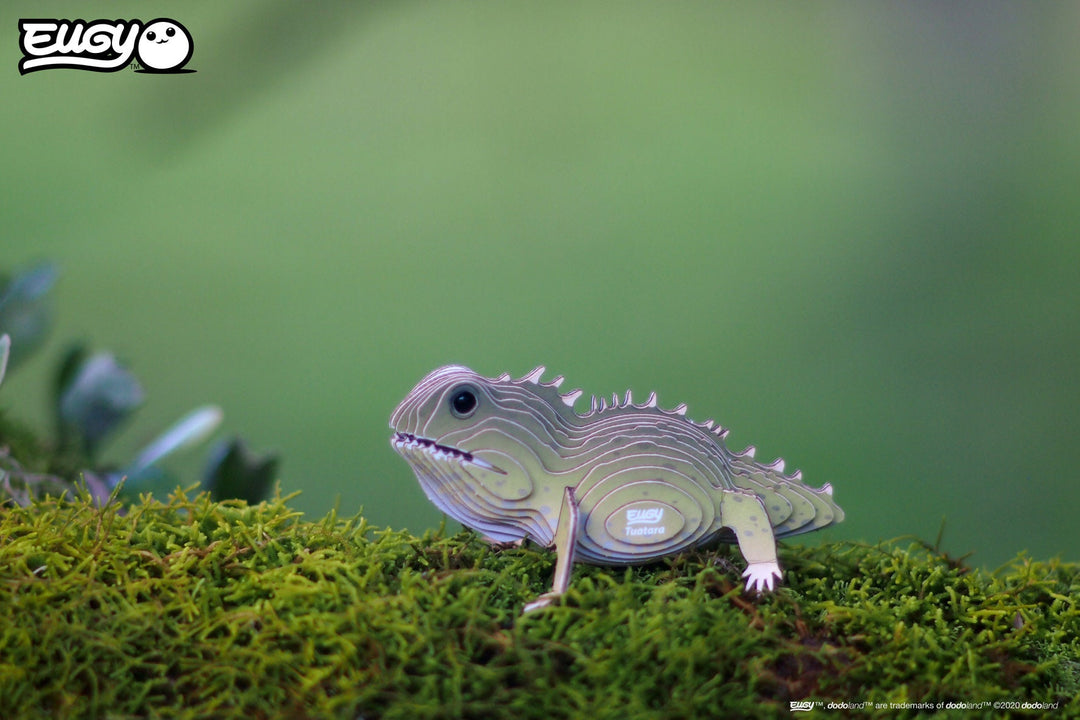 Eugy | 3D Cardboard Model Kit | Wild Life | Brughagedis | 6+ - Kleine Eland