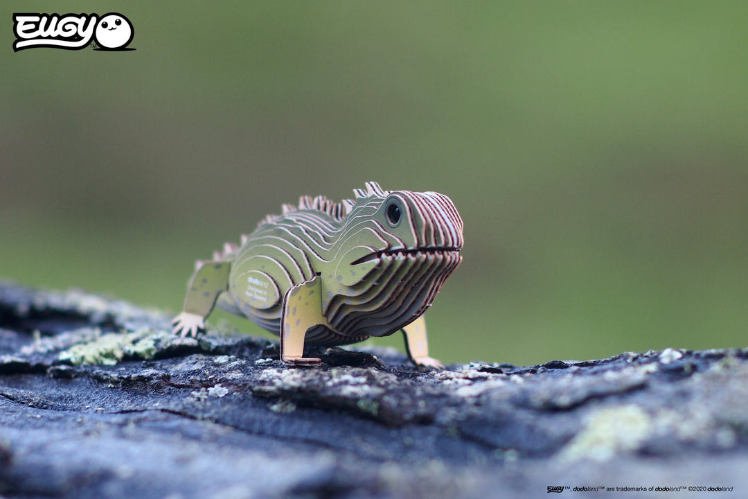 Eugy | 3D Cardboard Model Kit | Wild Life | Brughagedis | 6+ - Kleine Eland