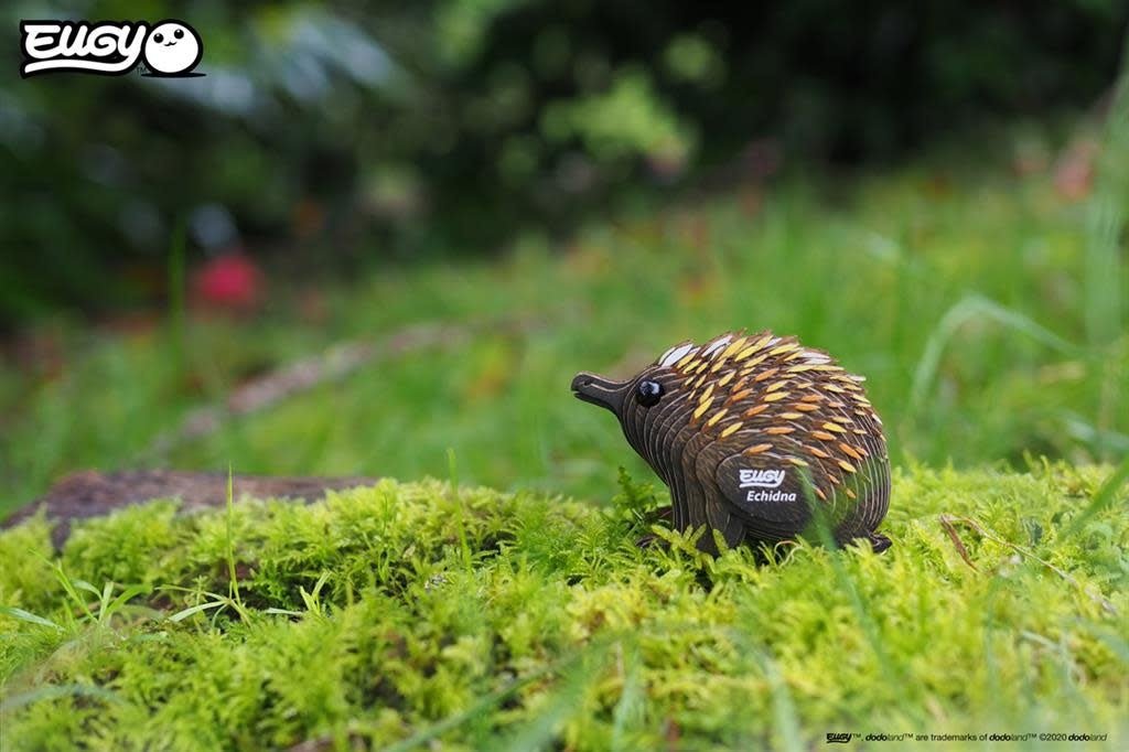 Eugy | 3D Cardboard Model Kit | Wild Life | Echydna - Mierenegel | 6+ - Kleine Eland