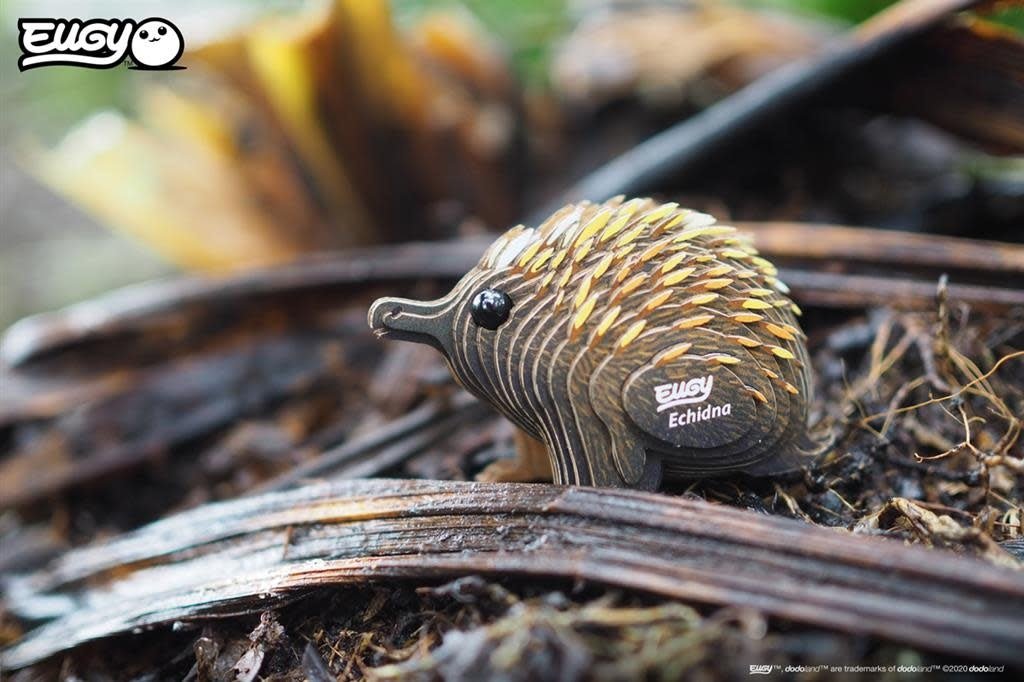 Eugy | 3D Cardboard Model Kit | Wild Life | Echydna - Mierenegel | 6+ - Kleine Eland