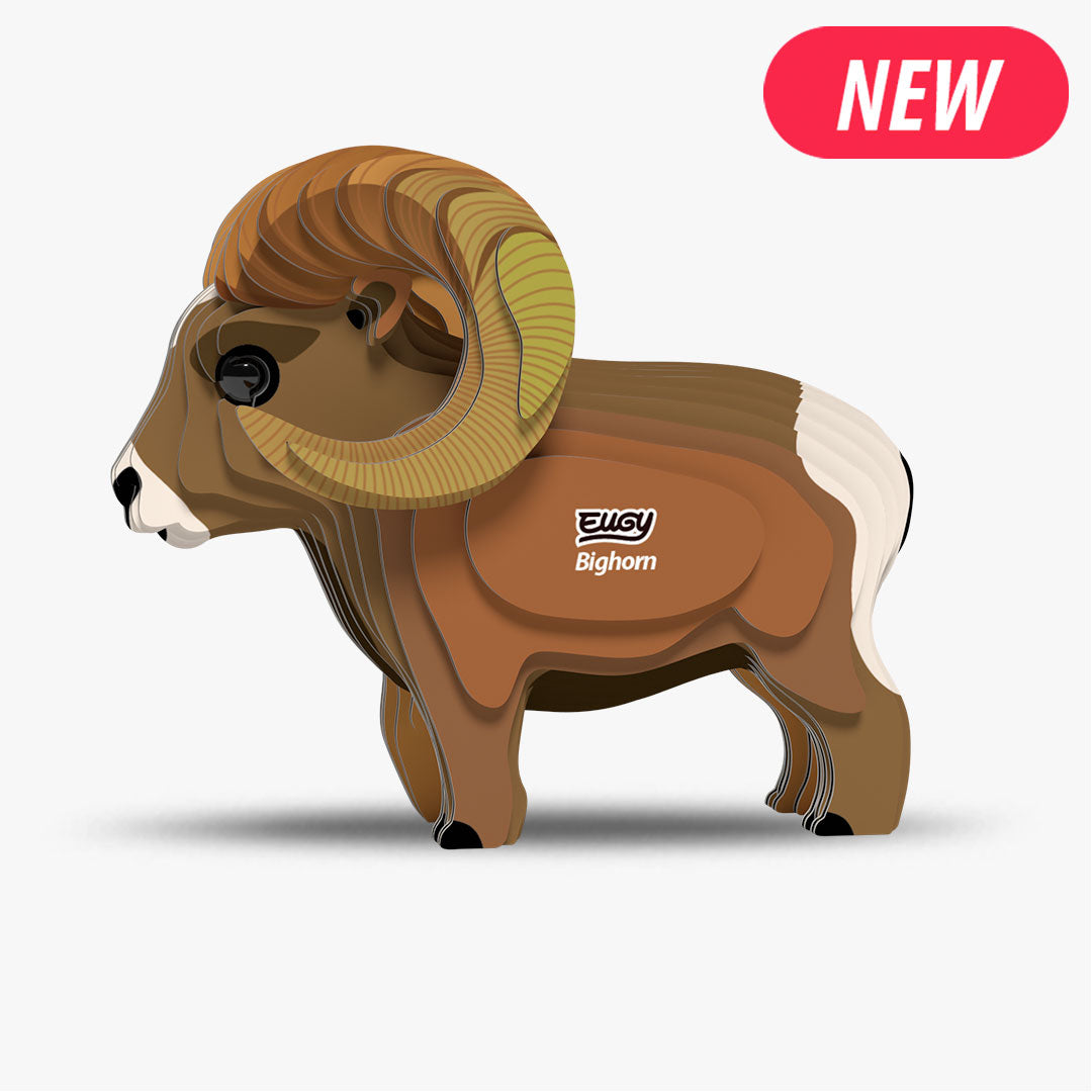 Eugy dikhoornschaap 3D model met grote gekrulde hoorns