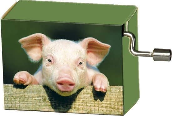 Fridolin | Art & Music | Muziekmechaniek | Pig on Fence | Happy Birthday - Kleine Eland