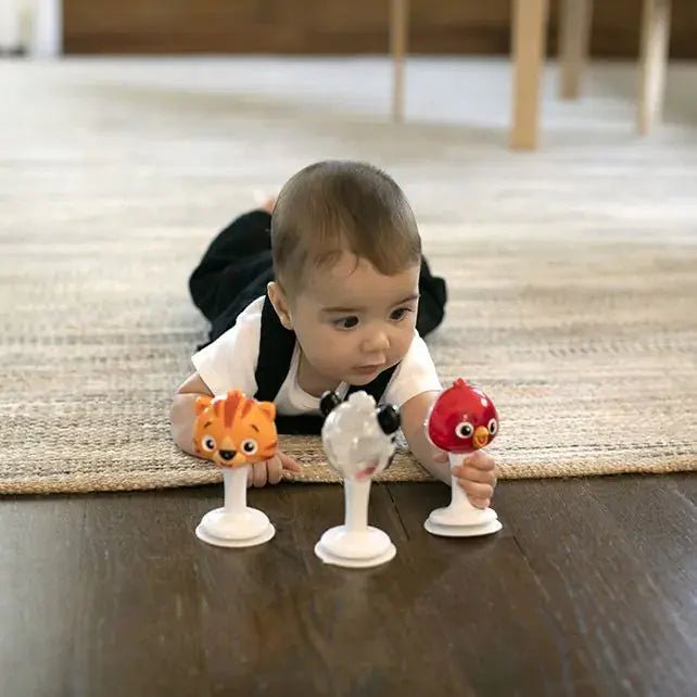 Hape | Baby Einstein | Rattle &amp; Jingle Trio Rattle Set | +3 maanden - Kleine Eland