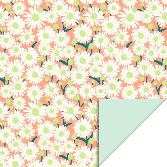 HOP Cadeaupapier | Daisy Peach | Pastel Mint | 70 cm x 3 mtr - Kleine Eland
