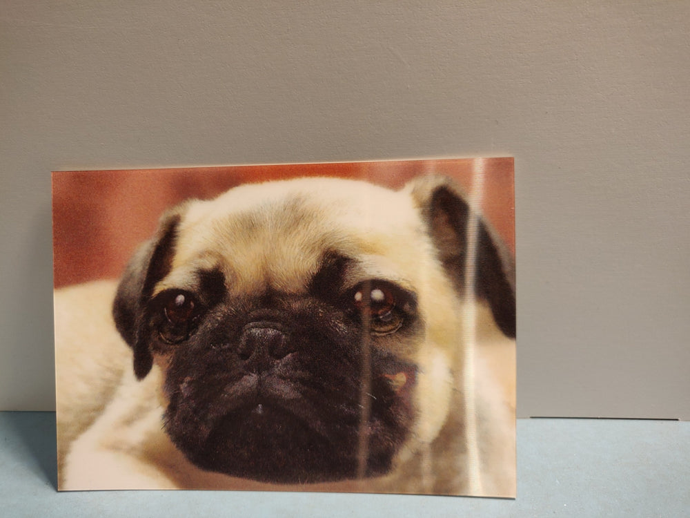 Lenticulaire Kaart Bewegend | Lachende Hond