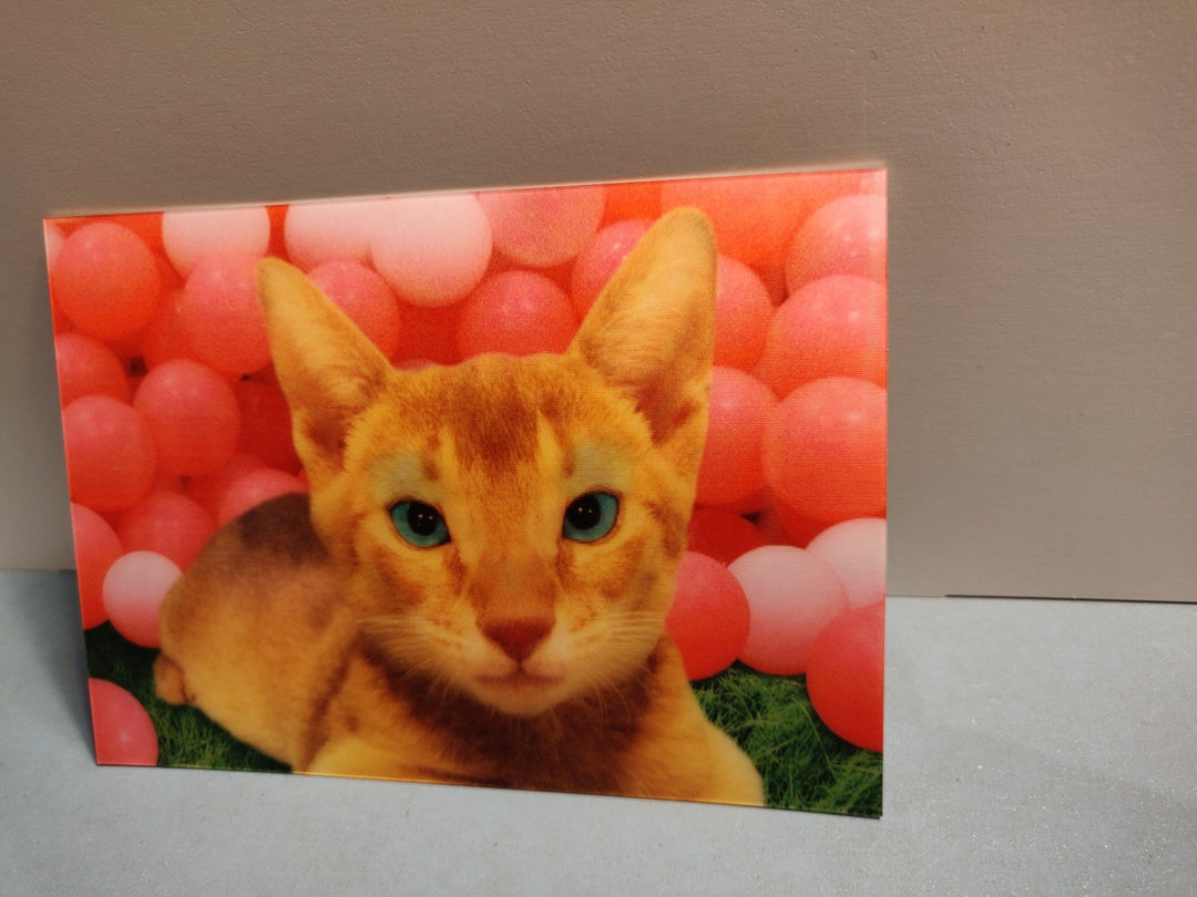 Lenticulaire Kaart Bewegend | Lachende Poes