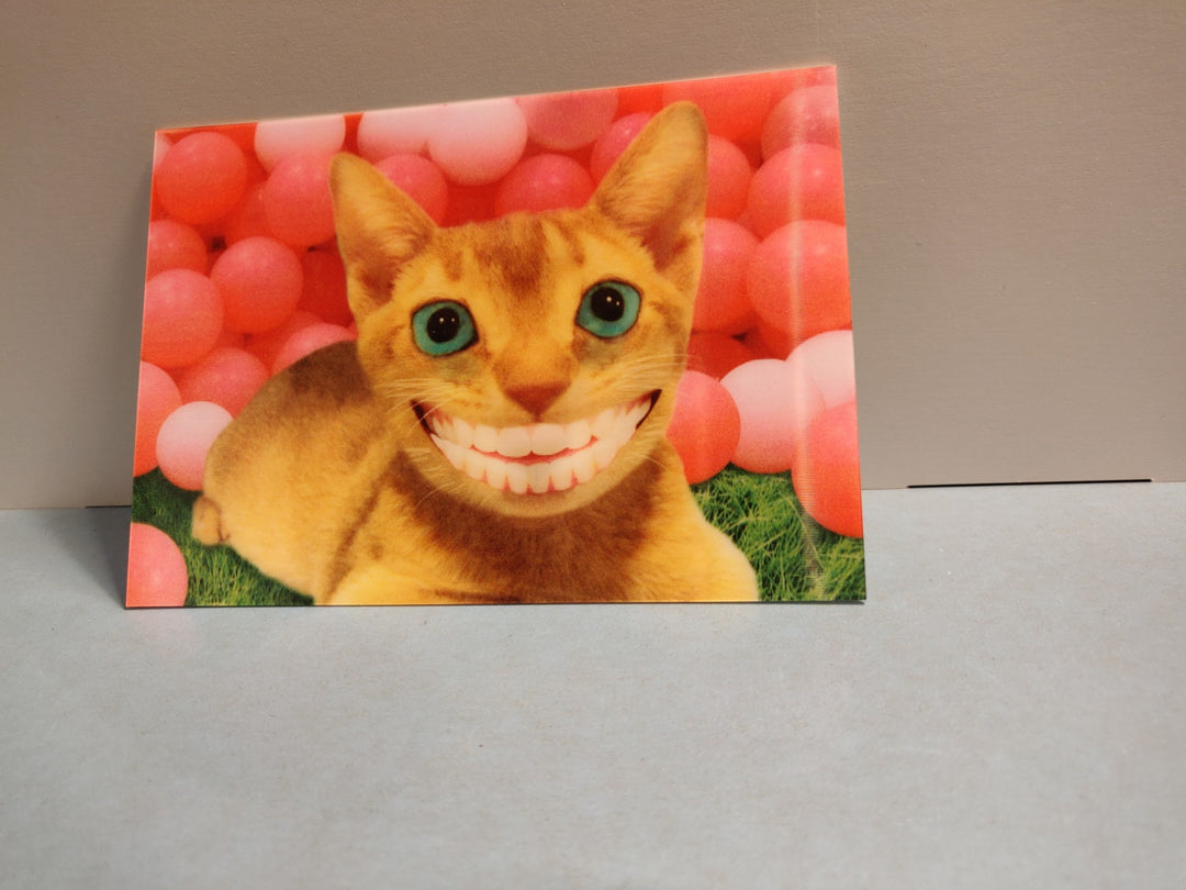 Lenticulaire Kaart Bewegend | Lachende Poes