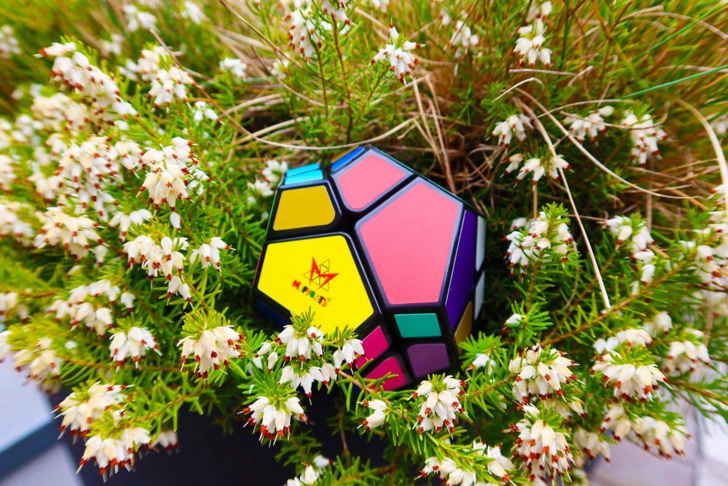 Recent Toys | Brainpuzzel | Meffert&