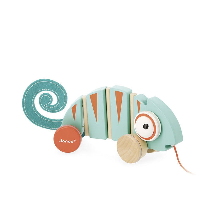 Janod | Houten Trekfiguur | Tropik | Kameleon | 1+ - Kleine Eland