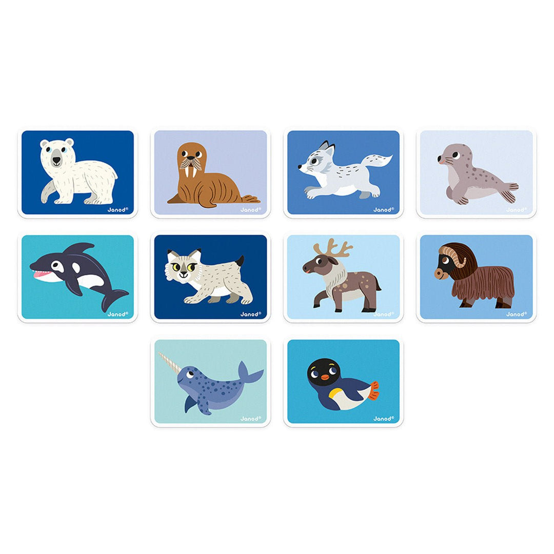 Janod | Magnetibook | Pooldieren | 3 tot 8 jaar - Kleine Eland