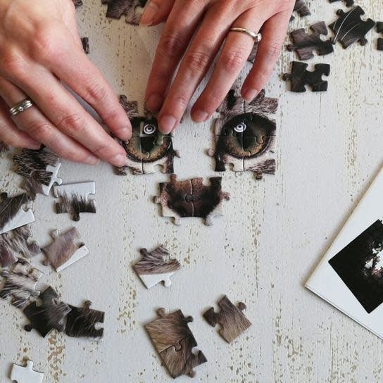 Kikkerland | Puzzle | Refunzzle | Shuffleface | 4 x 100 stukjes | 5+ - Kleine Eland