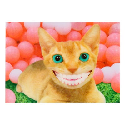 Lenticulaire Kaart Bewegend | Lachende Poes