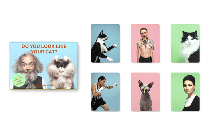 Do You Look Like Your Cat? | Boîte à côté des cartes de chats et de personnes
