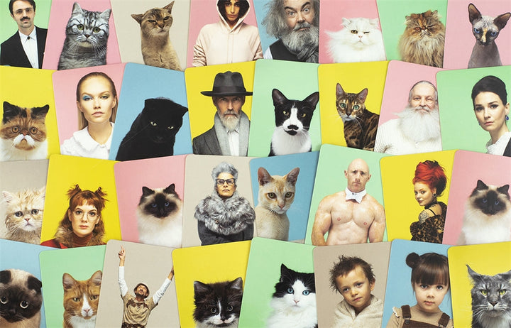 Do You Look Like Your Cat? | Sélection de cartes montrant les chats et leurs maîtres