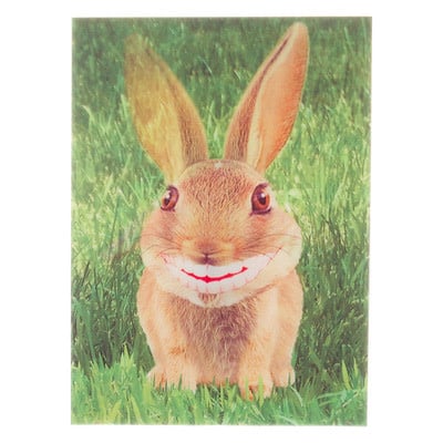 Lenticulaire Kaart Bewegend | Hangoor Konijn - Kleine Eland