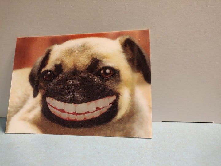 Lenticulaire Kaart Bewegend | Lachende Hond - Kleine Eland