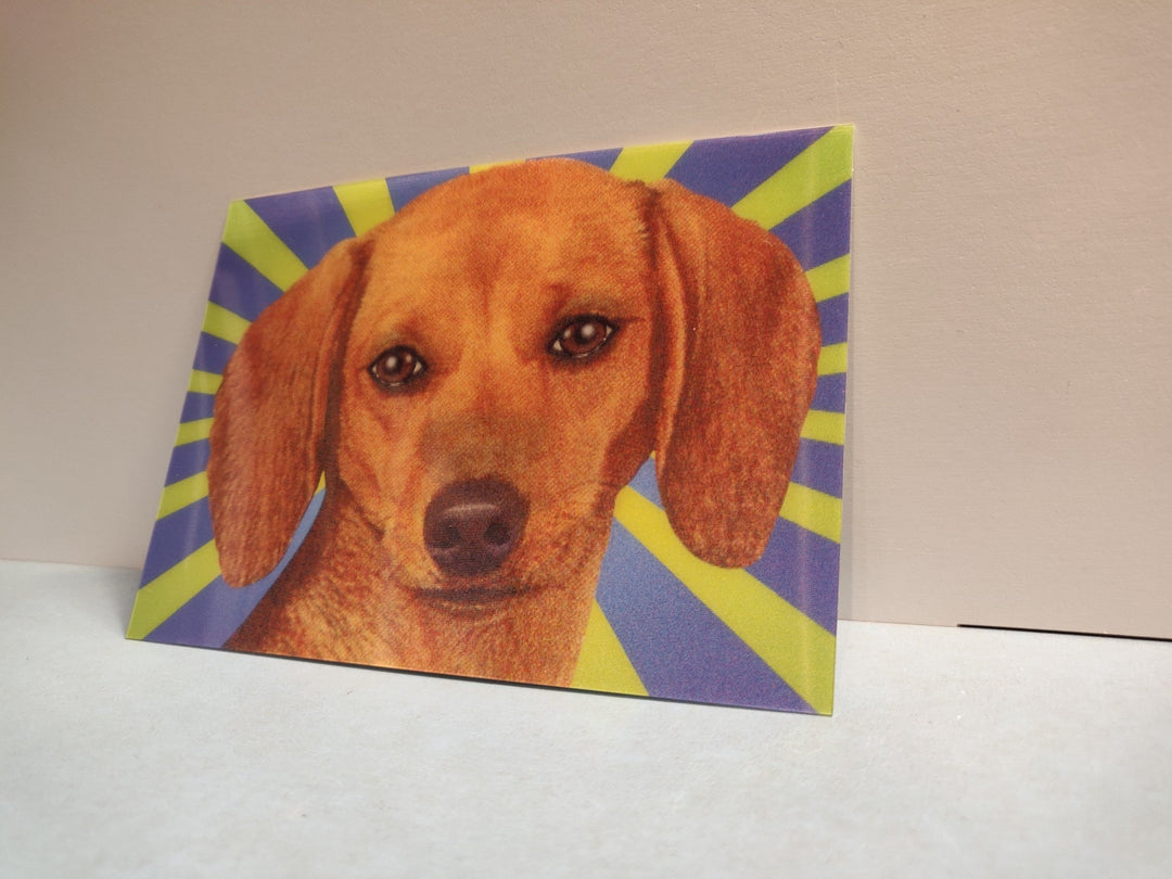 Lenticulaire Kaart Bewegend | Lachende Hond met Twinkelend Oog - Kleine Eland