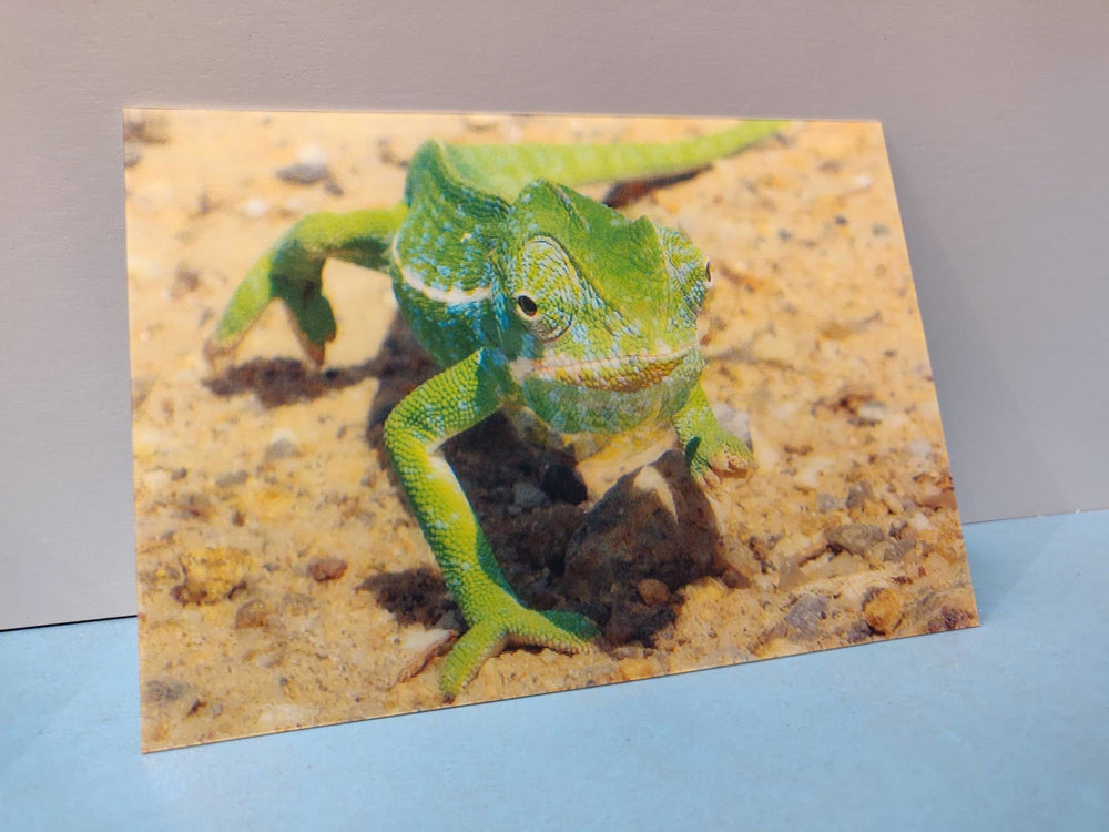 Lenticulaire Kaart Bewegend | Lachende Kameleon - Kleine Eland