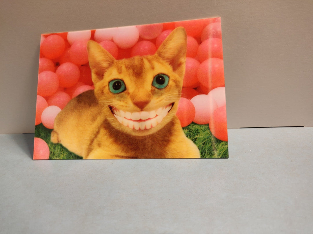 Lenticulaire Kaart Bewegend | Lachende Poes - Kleine Eland