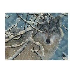 Live Life | 3D | Ansichtkaart | 15,4 x 11,3 cm | Broken Silence - Kleine Eland