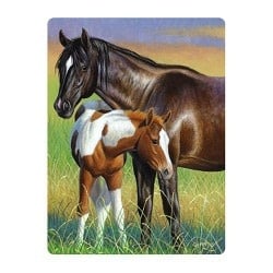Live Life | 3D | Ansichtkaart | 15,4 x 11,3 cm | Mare &amp; Foal - Kleine Eland
