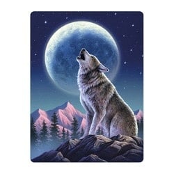 Live Life | 3D | Ansichtkaart | 15,4 x 11,3 cm | Moonlight Sonata - Kleine Eland