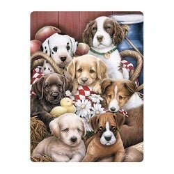Live Life | 3D | Ansichtkaart | 15,4 x 11,3 cm | Puppy Pals - Kleine Eland
